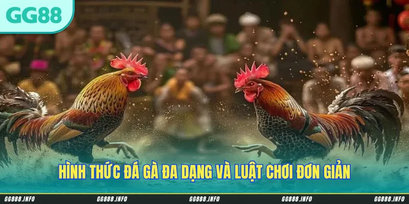 Hình thức đá gà đa dạng và luật chơi đơn giản